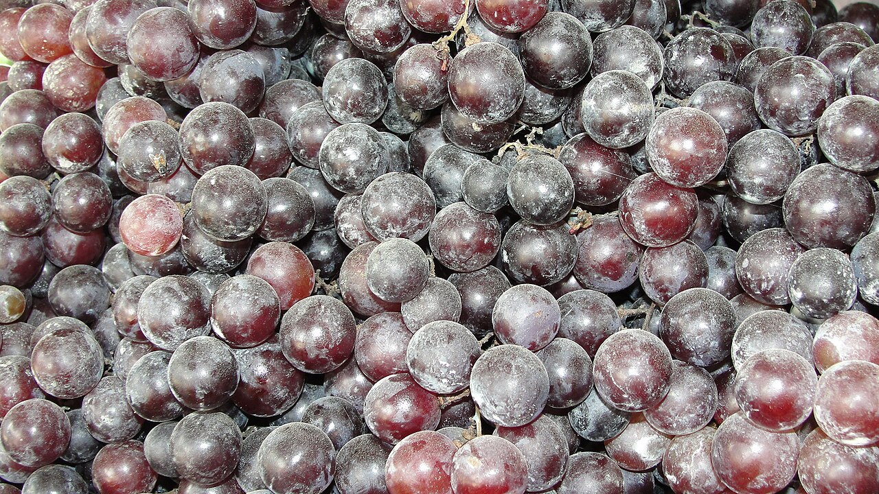 Black Grapes