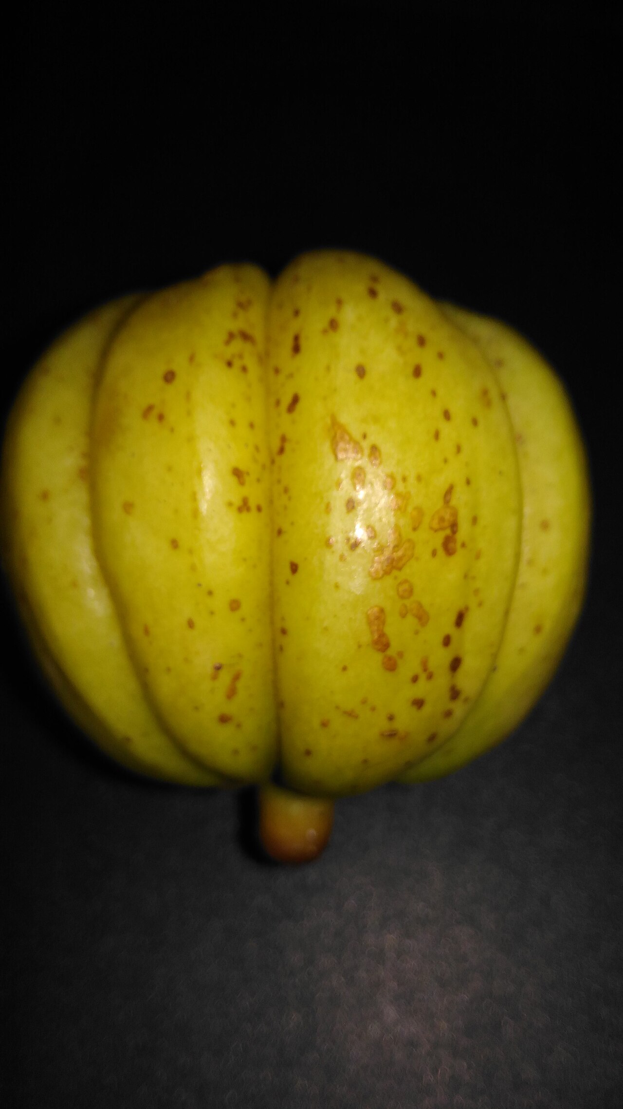 Gamboge (Kokum Yellow)