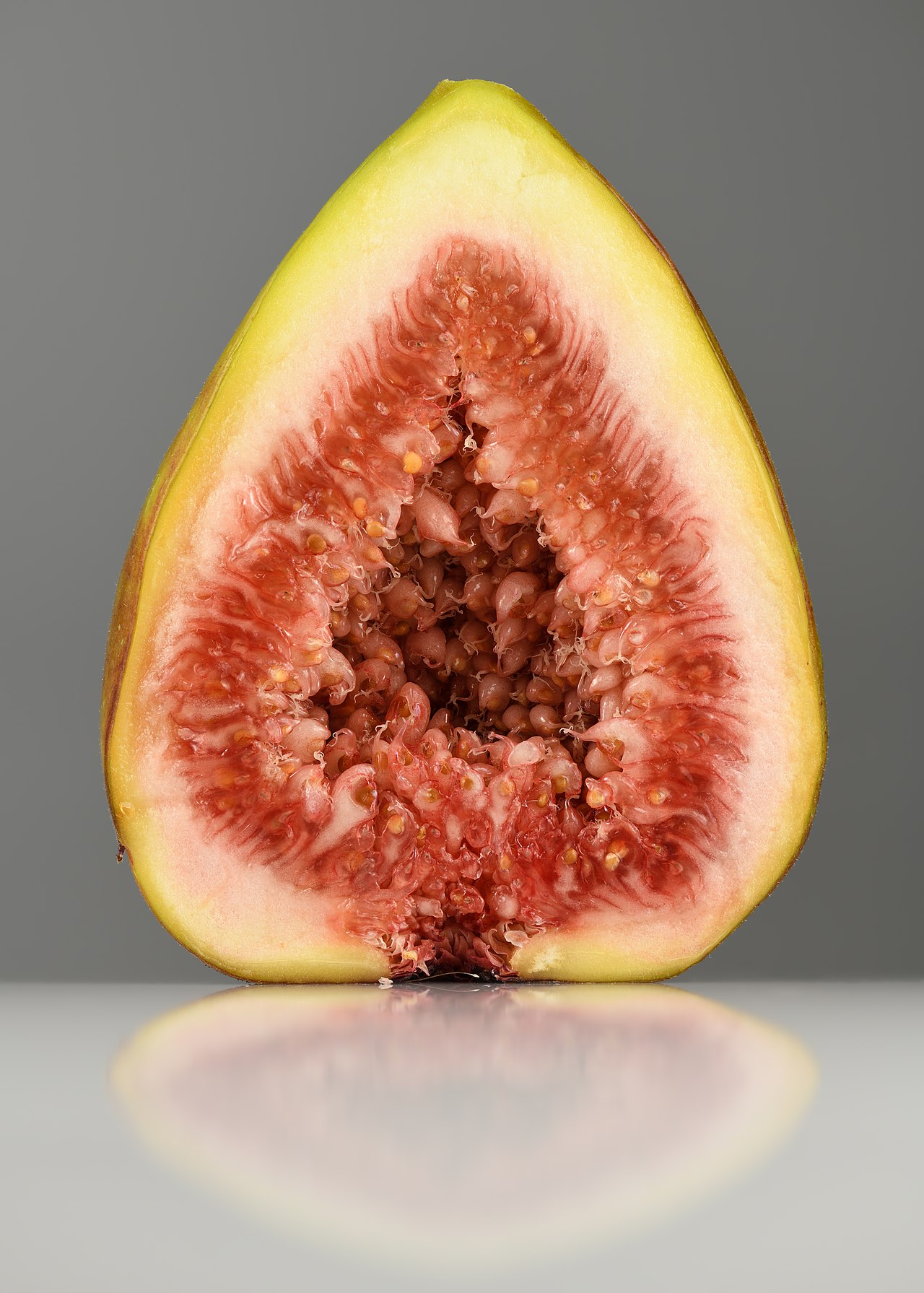 Indian Fig (Anjeer)