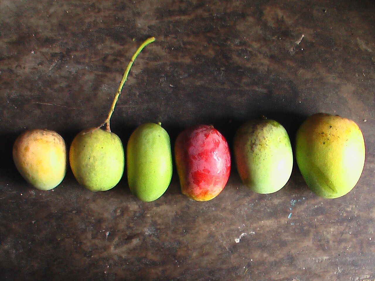 Langra Mango