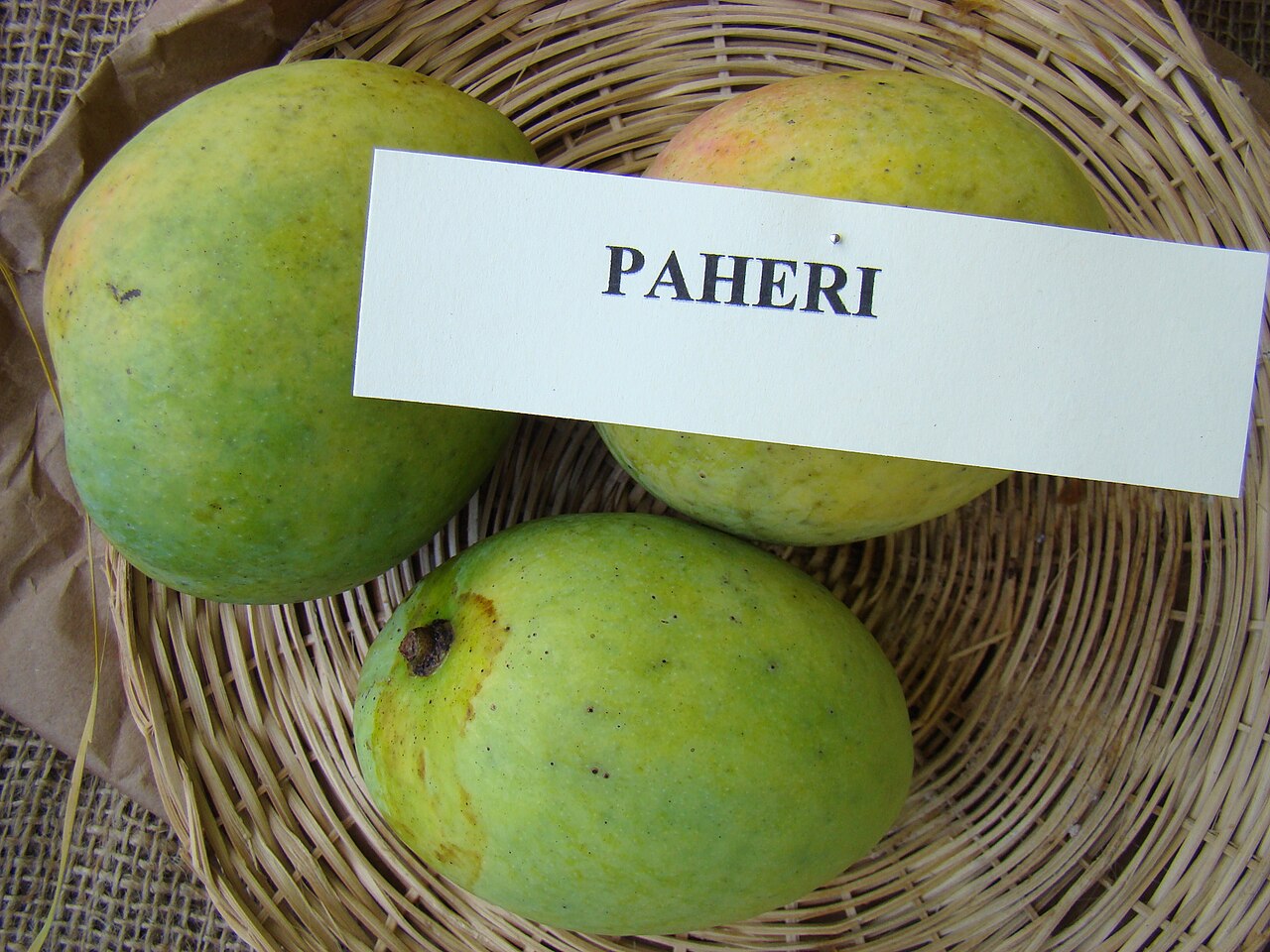 Pairi Mango