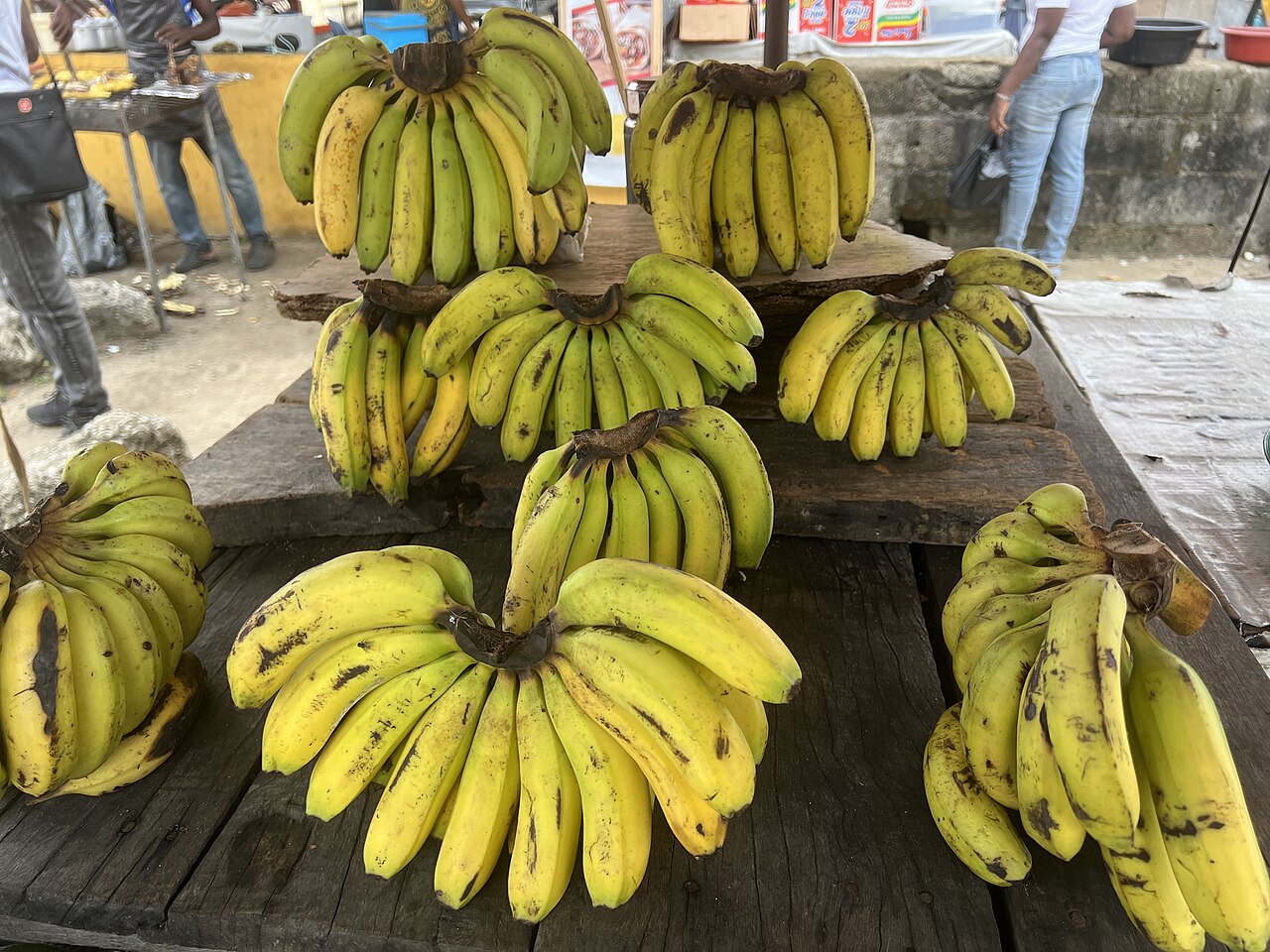 Single Banana