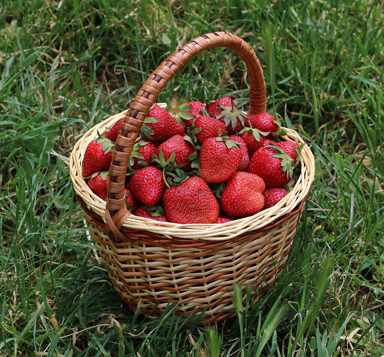 Strawberry Cup